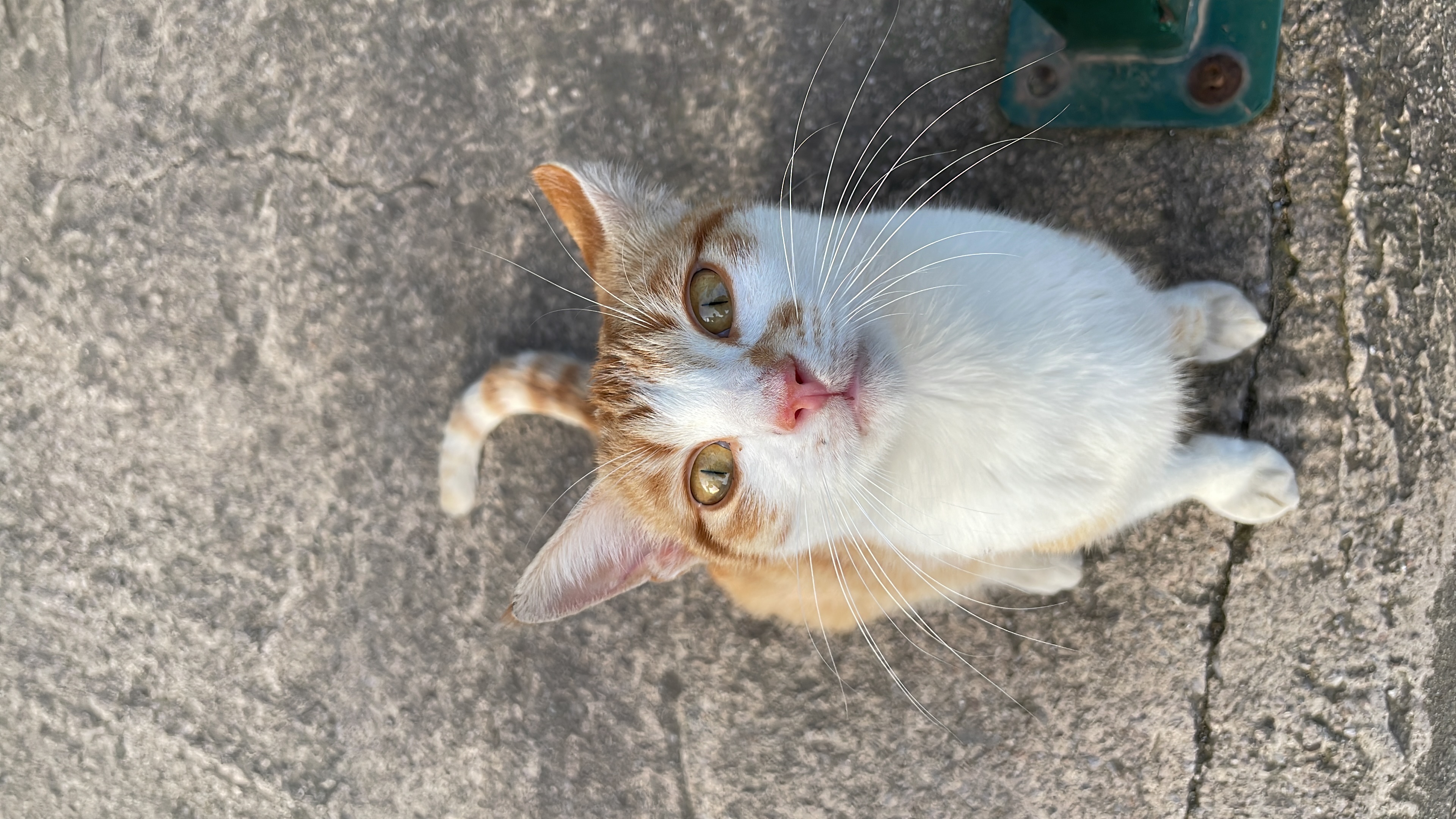 Berkay Tarantino yorumu görseli